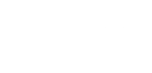 Newcop
